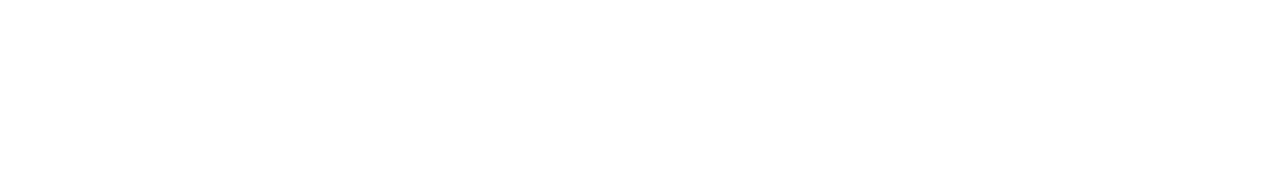 FIRST REISEBÜRO SCHMIDT