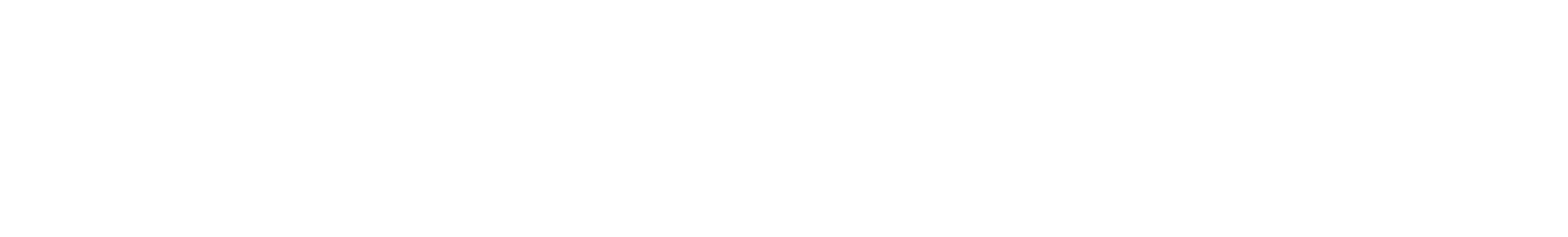 HarzBus