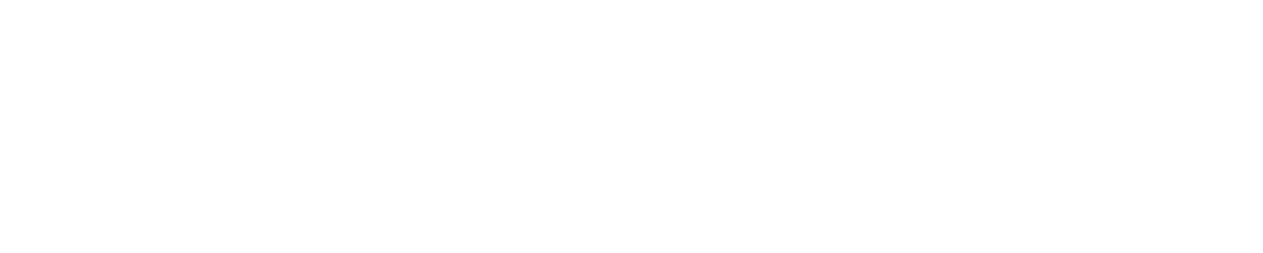DER SCHMIDT Mobility