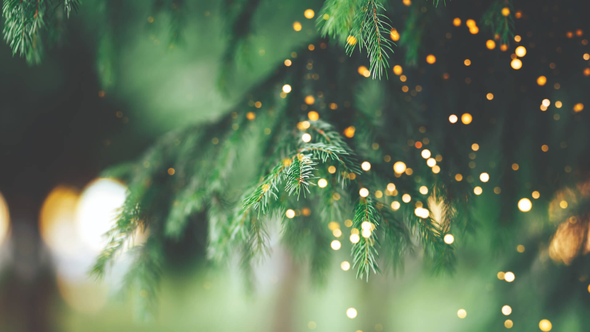 Tannenbaum