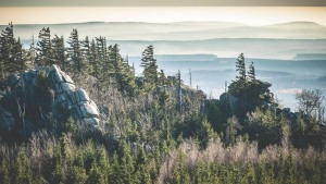 Deutschland Harz Bergsillhouetten mit Nebel