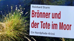 Buch Brönner und der Tote im Moor
