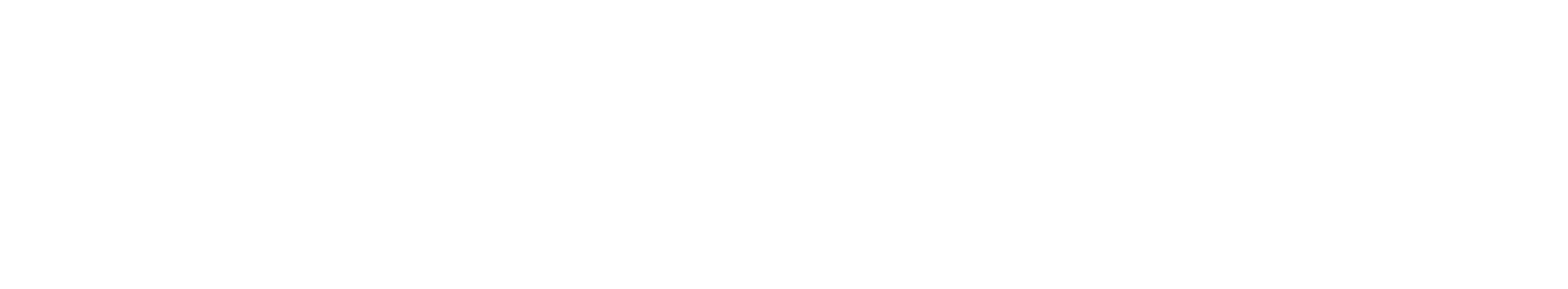 Reiseunion