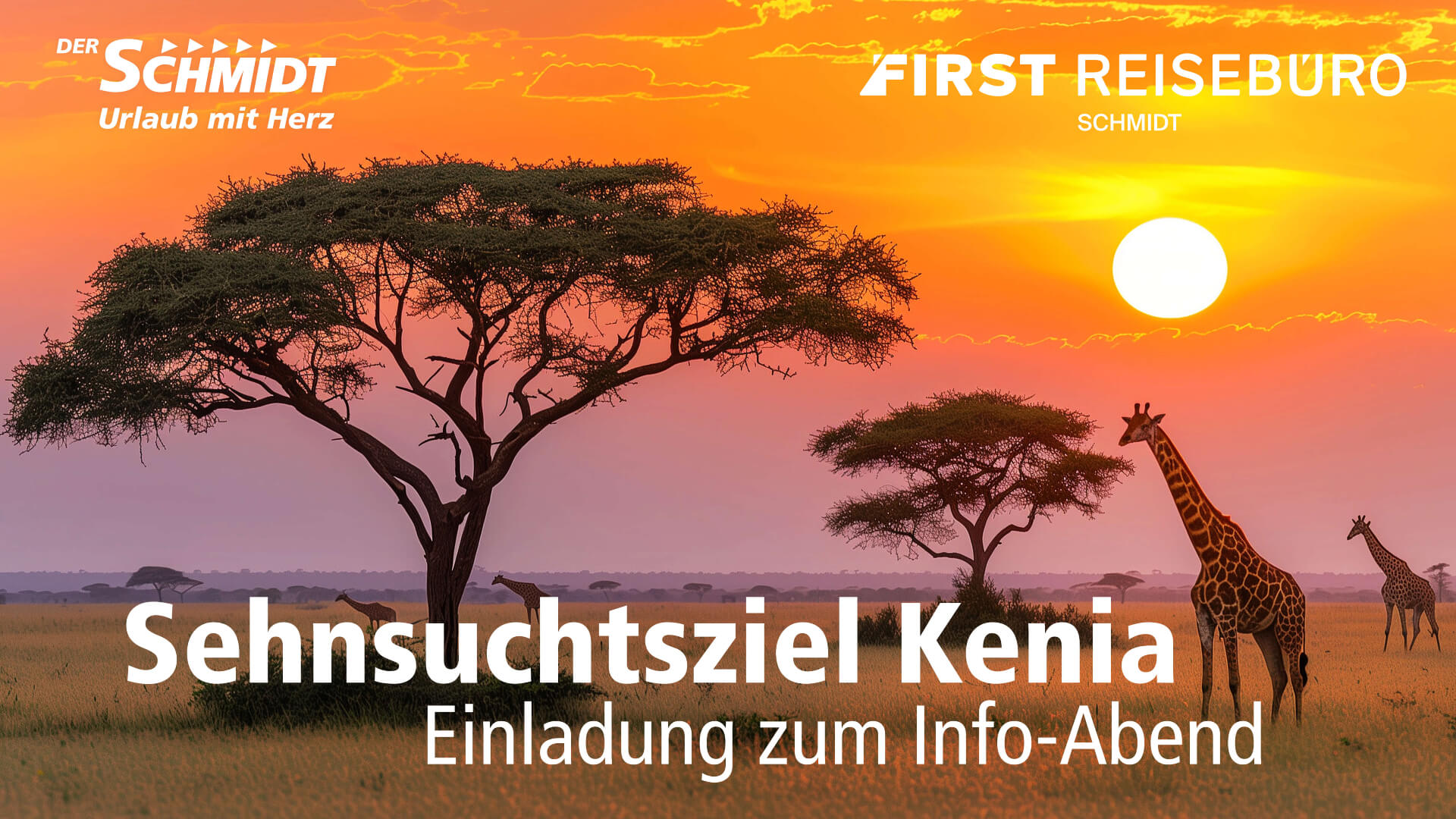 Wilde Giraffen in Kenia mit Bäumen und der Sonne